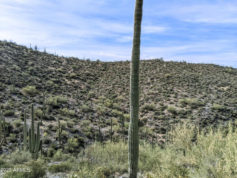 PXL_20220528_152038904