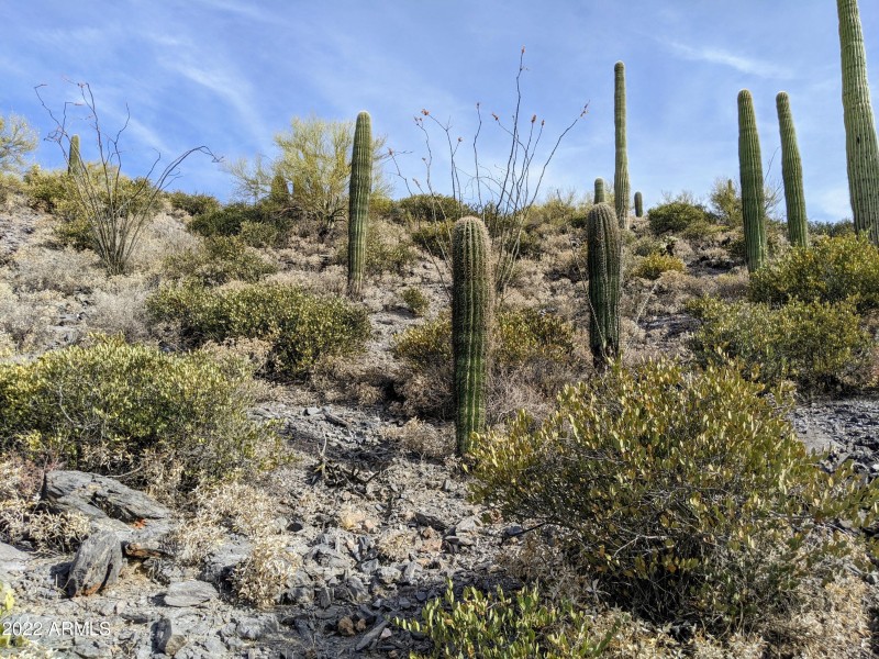 PXL_20220528_152042784