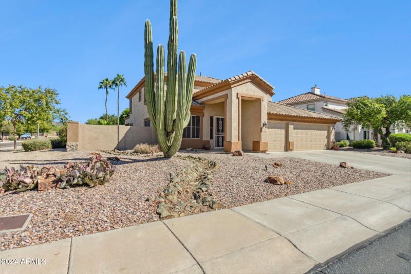 Desert Curb Appeal