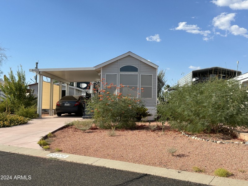 Lot 368 (21)