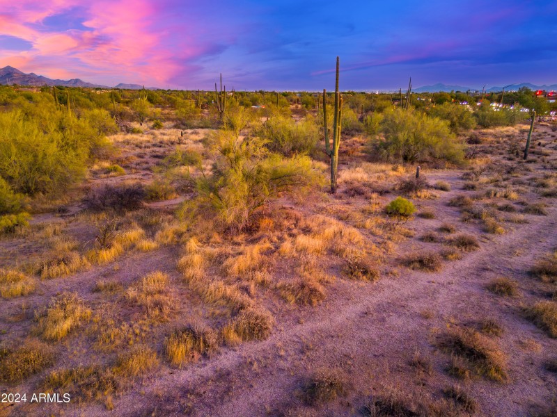 28227 N Scottsdale Rd - 14