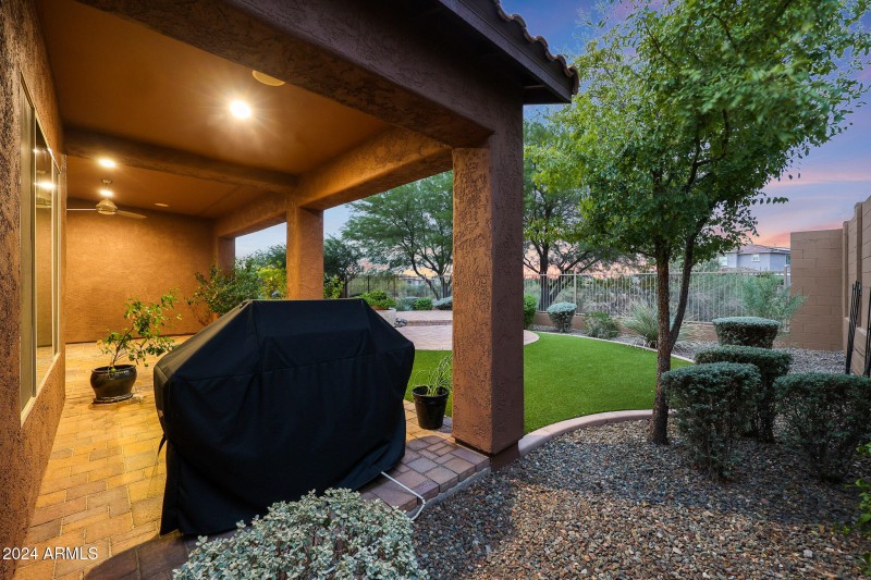 Backyard at Twilight