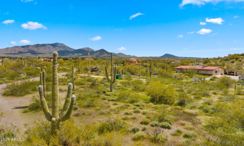 Saguaro views with house