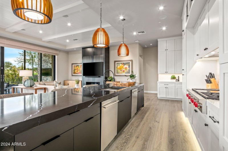 20-web-or-mls-Luxury Kitchen