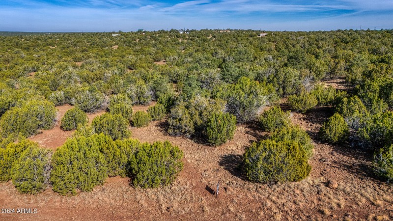 Great Property for the Family Ranch