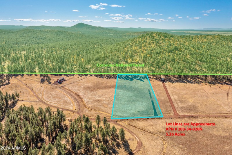 5 Acre Lot