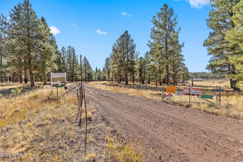 5 Acre Lot