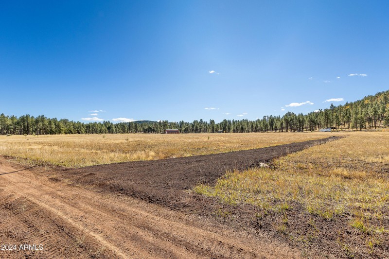 5 Acre Lot