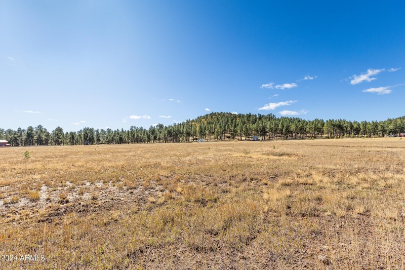 5 Acre Lot