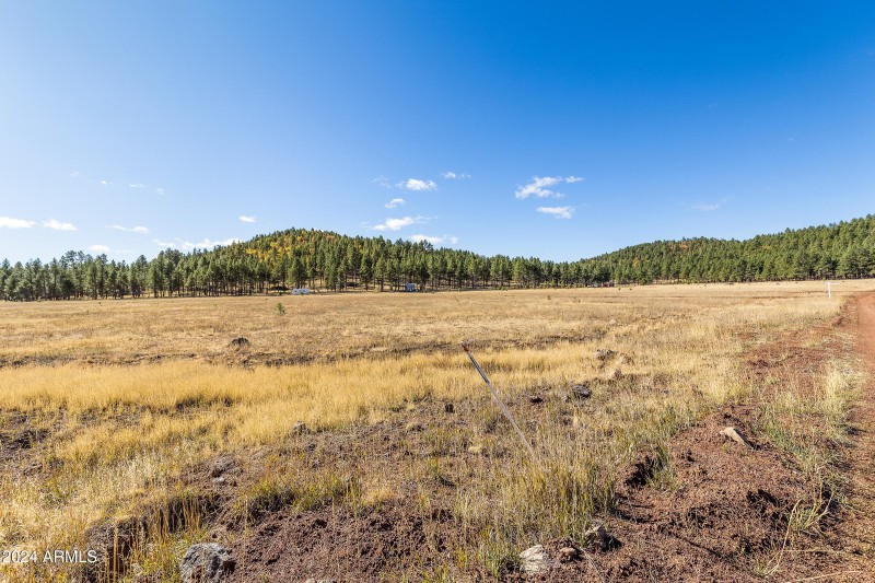5 Acre Lot