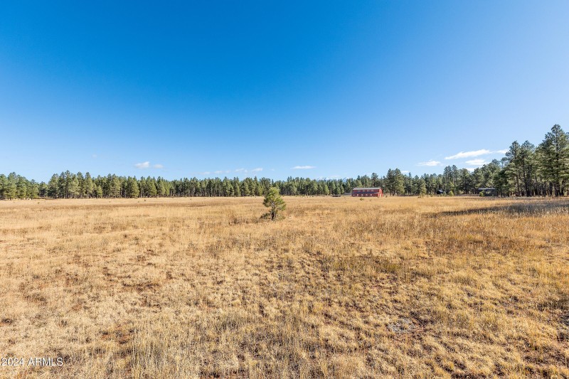 5 Acre Lot