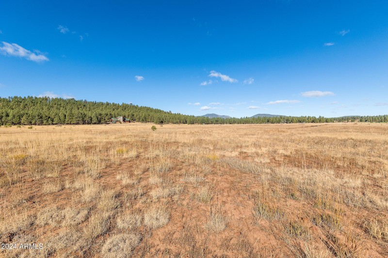 5 Acre Lot