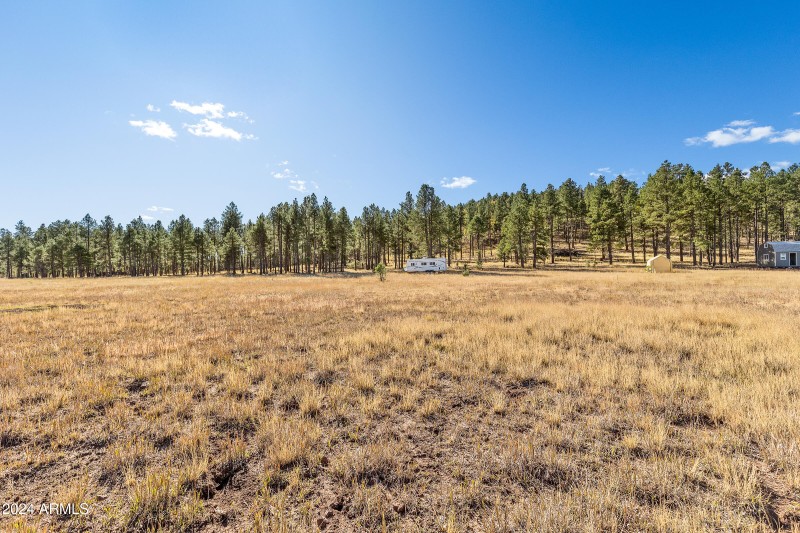 5 Acre Lot