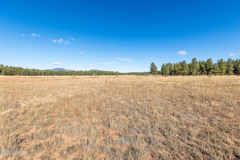 5 Acre Lot