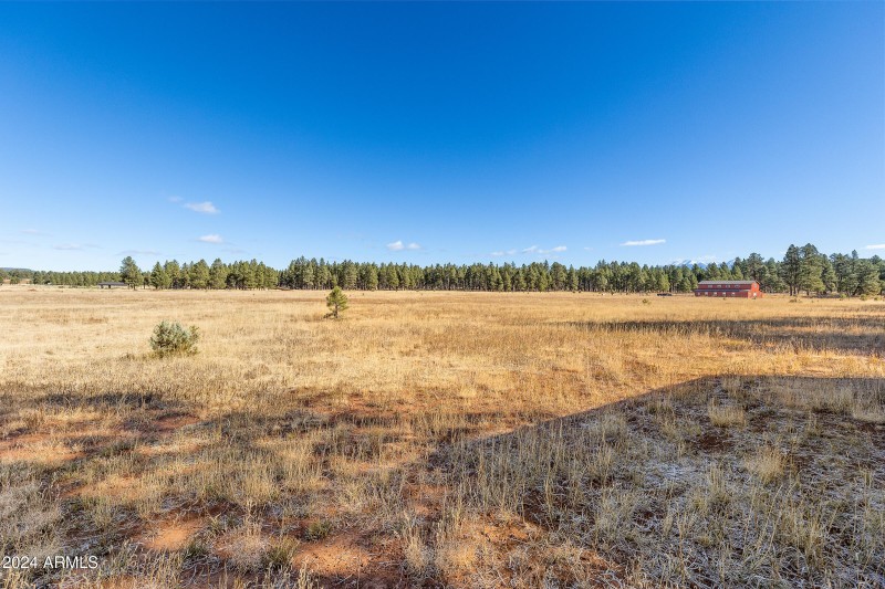 5 Acre Lot