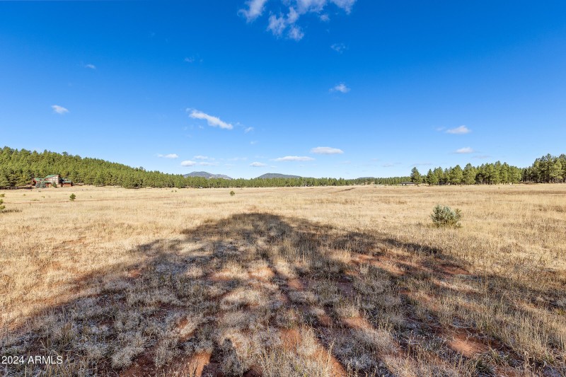 5 Acre Lot