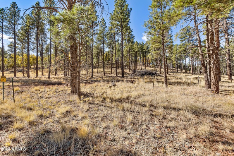5 Acre Lot