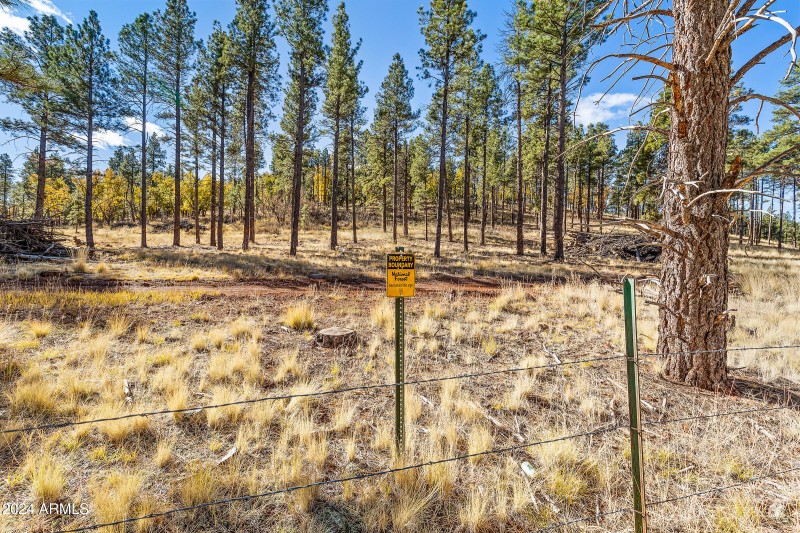 5 Acre Lot