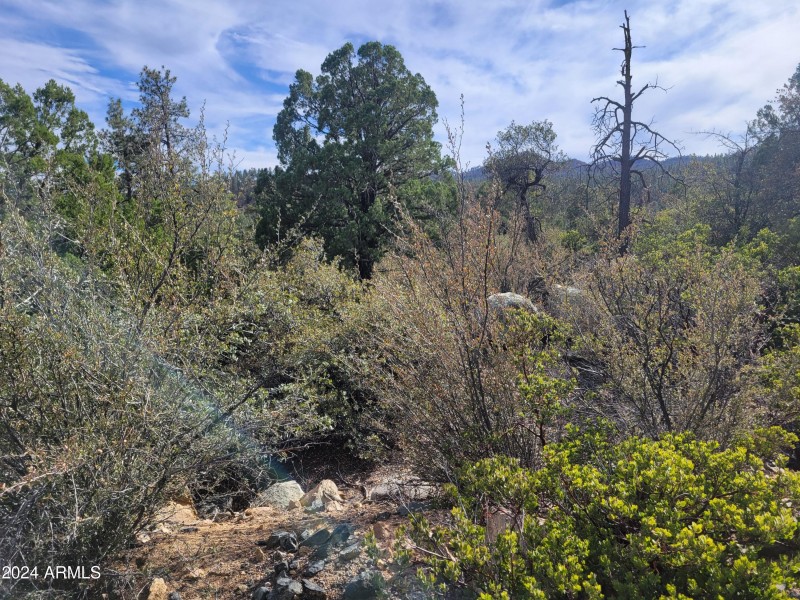 Great lot in Highland Pines