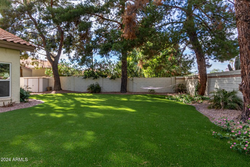 Large Turf Play Area