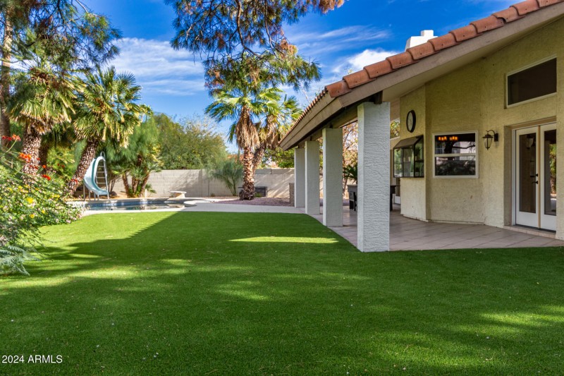 Turf Backyard
