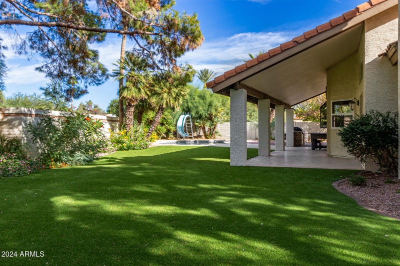 Turf Backyard