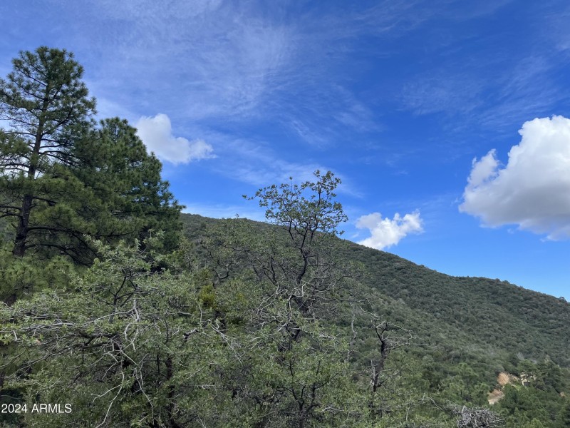 Hillside property