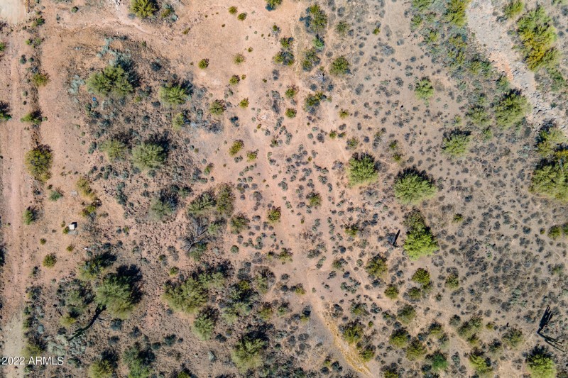 Filoree-Aerial-15