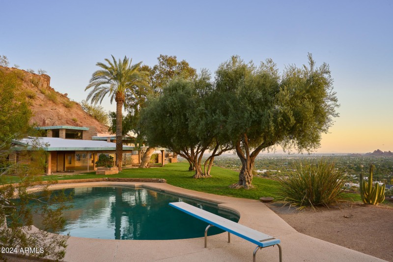 Backyard Pool View