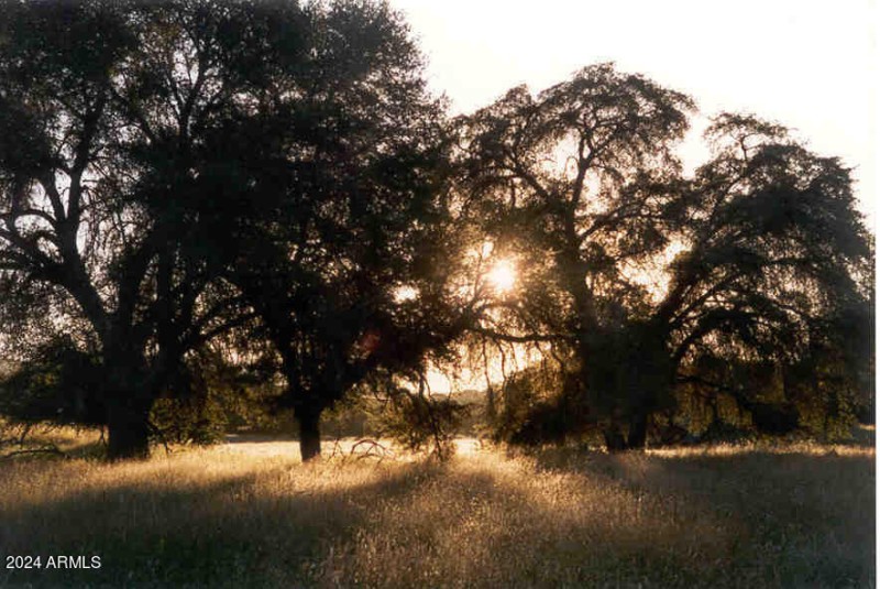 J2 NORTH homesite Oaks at Dawn