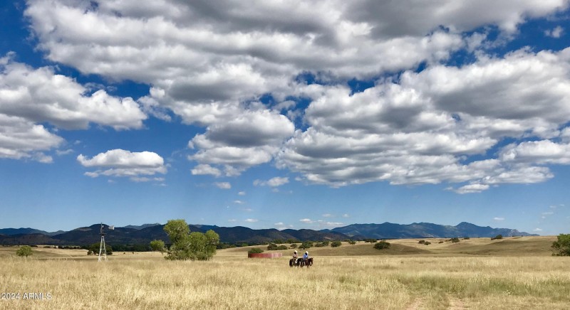 HORSES Rider j2 South Panorama