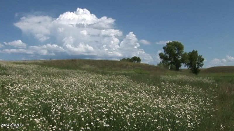 Daisy Hillside J2 South pasture