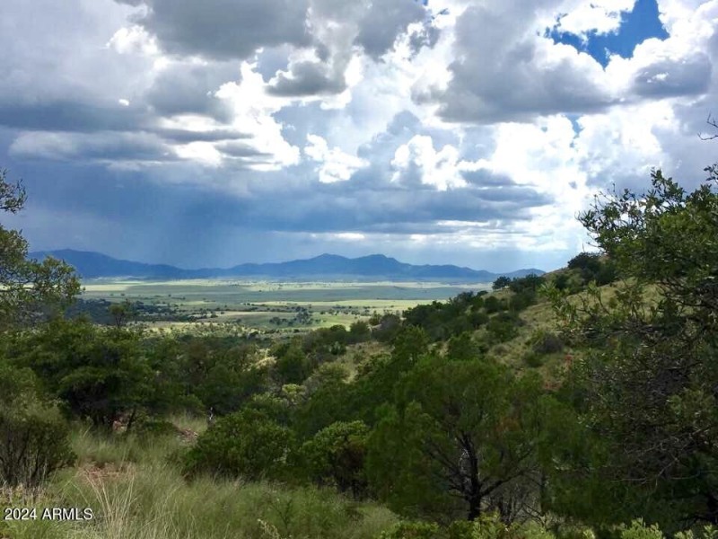 1 SRV Valley View Green from Canelo Pass