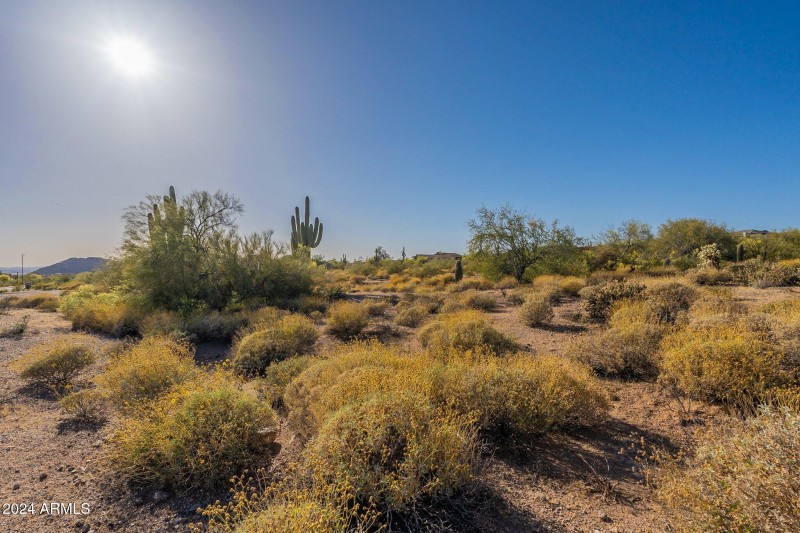 9-web-or-mls-Hawes-Community HD-2