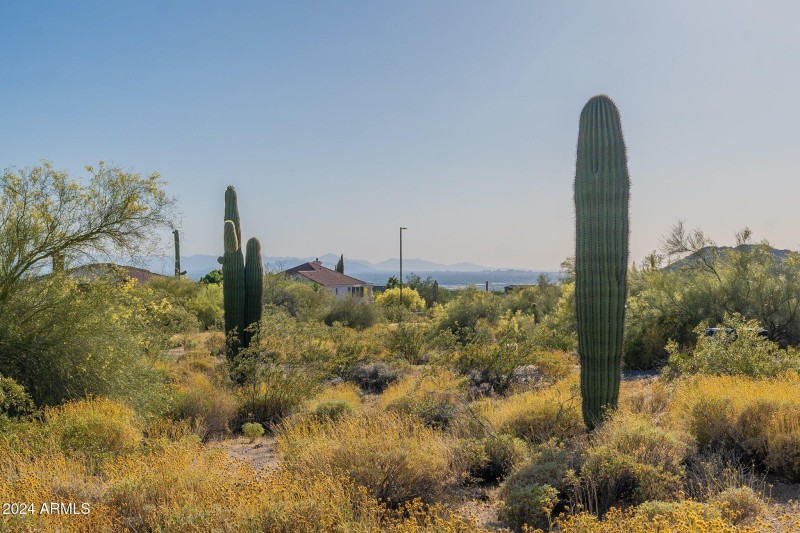 13-web-or-mls-Hawes-Community HD-6