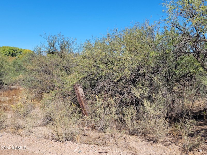 TBD N Jacobs Rd -010