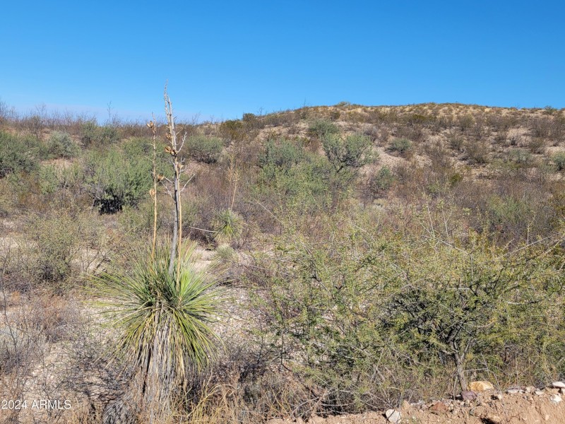TBD N Jacobs Rd -010