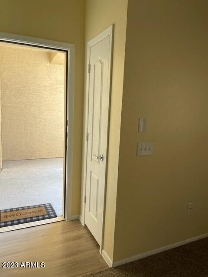 Entry Closet off LR