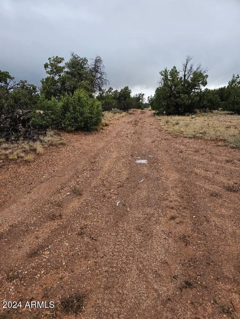 4127 N Windy Walk_2
