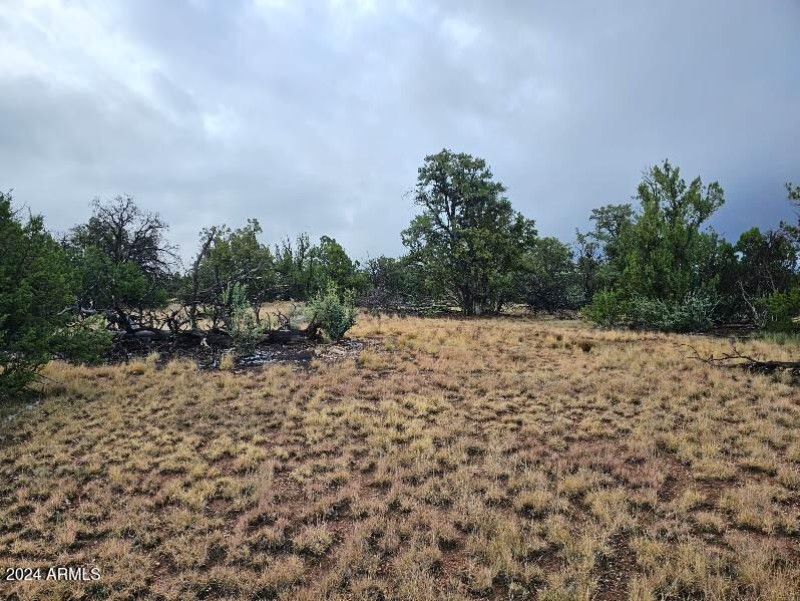 4127 N Windy Walk_3