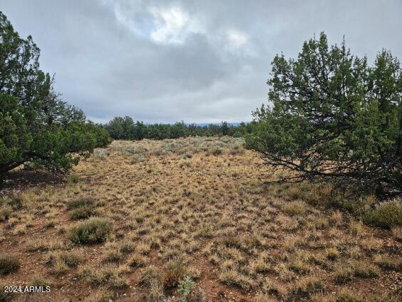 4127 N Windy Walk_01