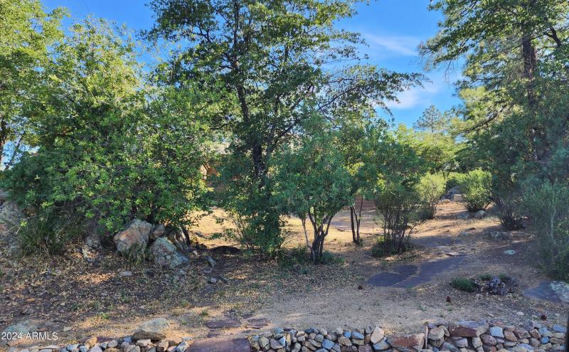 Lovely Natural Front Yard