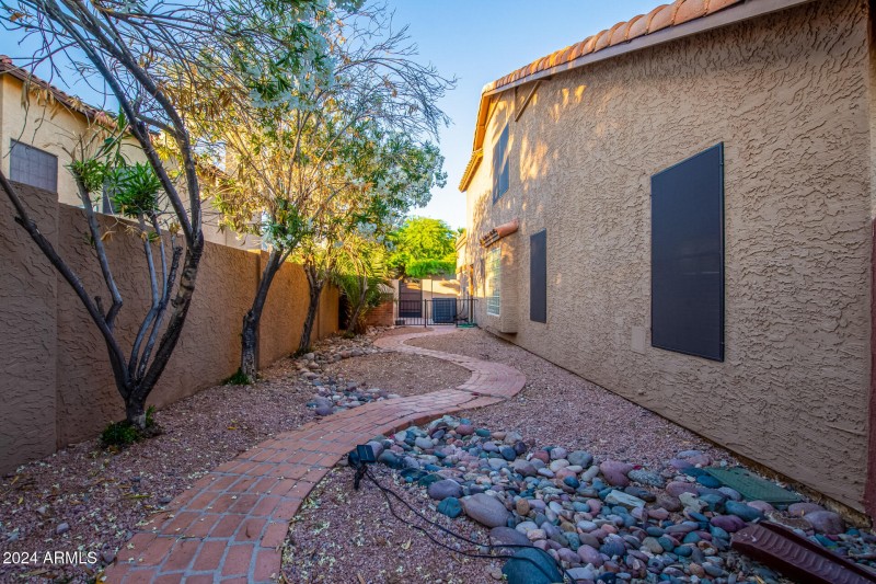 Side Yard