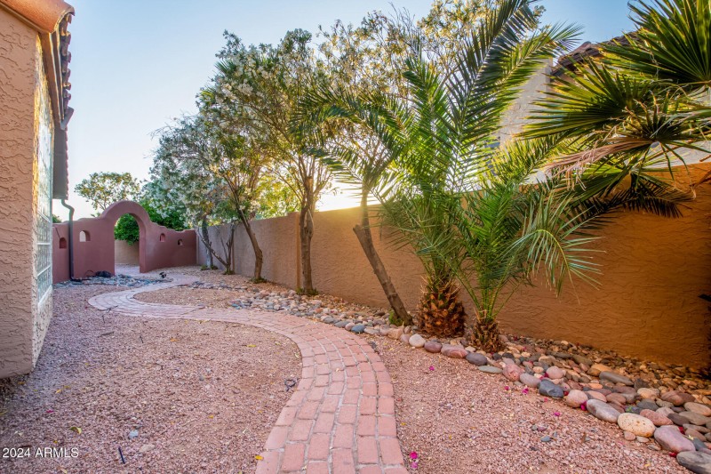 Side Yard