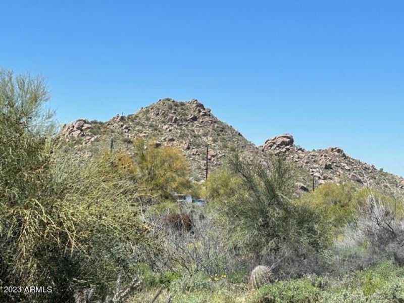 IMG_1133 (1)