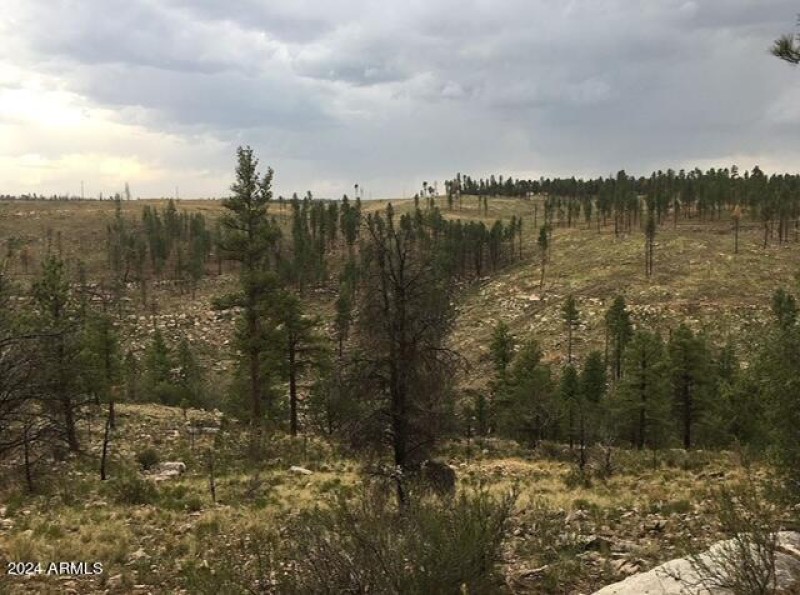 Image3