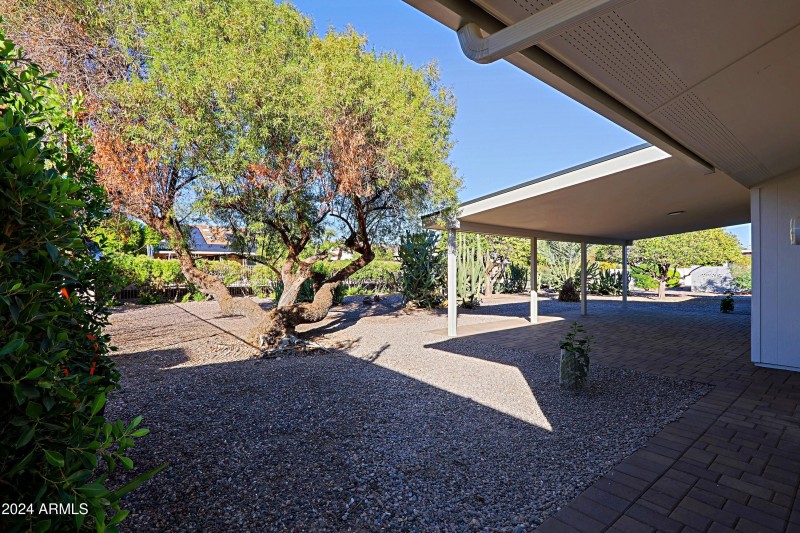 Backyard 2