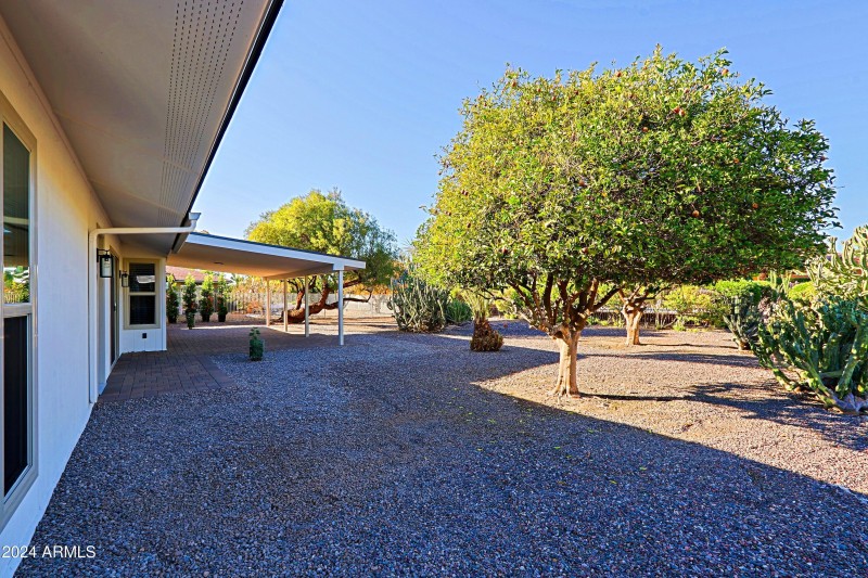 Backyard 5