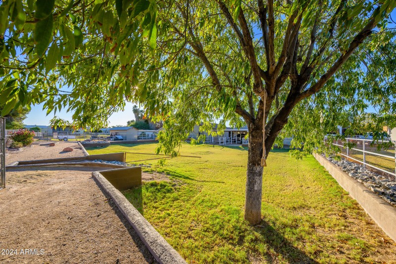 View from NE back of property