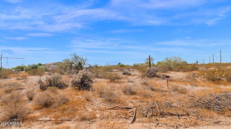 16-web-or-mls-P1201783